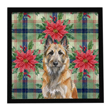Load image into Gallery viewer, Belgian Laekenois Christmas PoinsettIas Framed Metal Print