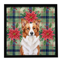 Load image into Gallery viewer, Red and White Border Collie Christmas PoinsettIas Framed Metal Print
