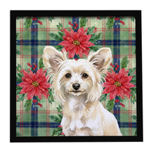 Load image into Gallery viewer, Powderpuff Chinese Crested Christmas PoinsettIas Framed Metal Print