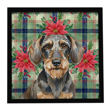 Load image into Gallery viewer, Wirehaired Wild Boar Dachshund Christmas PoinsettIas Framed Metal Print