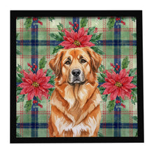 Load image into Gallery viewer, Red Leonberger Christmas PoinsettIas Framed Metal Print