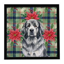 Load image into Gallery viewer, Gray Newfoundland Christmas PoinsettIas Framed Metal Print