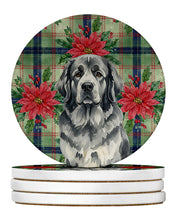 Load image into Gallery viewer, Gray Newfoundland Christmas PoinsettIas Large Sandstone Coasters Pack of 4