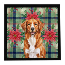 Load image into Gallery viewer, Orange Nova Scotia Duck Tolling Retriever Christmas PoinsettIas Framed Metal Print