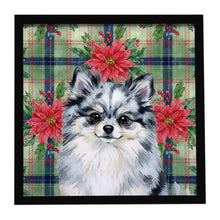 Load image into Gallery viewer, Blue Merle Pomeranian Christmas PoinsettIas Framed Metal Print