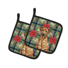 Load image into Gallery viewer, Rhodesian Ridgeback Christmas PoinsettIas Pair of Pot Holders