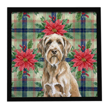 Load image into Gallery viewer, Spinone Italiano Christmas PoinsettIas Framed Metal Print