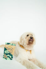 Load image into Gallery viewer, Greens &amp; Cheddar Pretzels