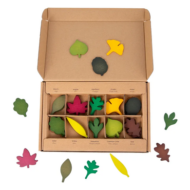 **Pre-order (Ships in 1-2 Weeks)**40-Piece Woodland Leaves Wooden Forest Set – Nature-Inspired Loose Parts Play