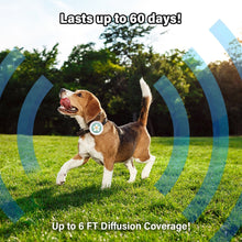 Load image into Gallery viewer, Aegis Bug-Off Clip for Dogs, Repelling Flea, Tick &amp; Mosquito - Heart