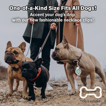 Load image into Gallery viewer, Aegis Bug-Off Clip for Dogs, Repelling Flea, Tick &amp; Mosquito - Heart
