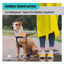 Load image into Gallery viewer, Aegis Calming Clip for Dog | 100% Natural Oil Helps your Dogs feel Safe and Happy