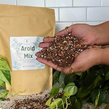 Load image into Gallery viewer, Premium Aroid Mix For Tropical Plants