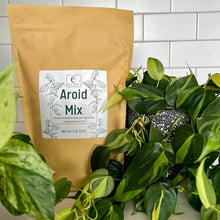 Load image into Gallery viewer, Premium Aroid Mix For Tropical Plants
