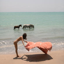 Load image into Gallery viewer, Axel Driftweave Beach Blanket - Guava