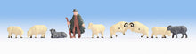 Load image into Gallery viewer, Noch 18210 HO Scale Shepherd &amp; Sheep