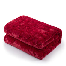 Load image into Gallery viewer, DaDa Bedding Luxury Romantic Red Lovely Hearts Dreamy Plush Faux Fur Throw Blanket (19)