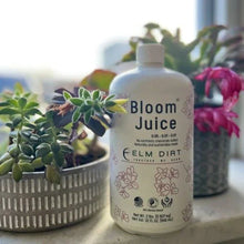 Load image into Gallery viewer, Bloom Juice Award-Winning Formula