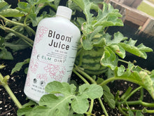 Load image into Gallery viewer, Bloom Power Bundle