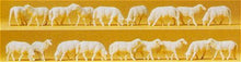 Load image into Gallery viewer, Preiser 14161 HO Scale Animals -- Sheep (white) pkg(18)