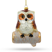 Load image into Gallery viewer, Wise Owl Sitting on a Branch Glass Christmas Ornament