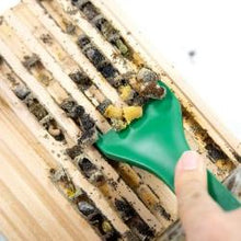 Load image into Gallery viewer, Cocoon Harvesting Comb