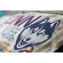 Load image into Gallery viewer, Connecticut, University of Collegiate Embroidered Pillow by CatStudio