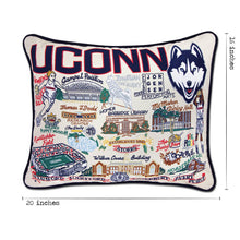 Load image into Gallery viewer, Connecticut, University of Collegiate Embroidered Pillow by CatStudio