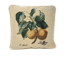 Load image into Gallery viewer, DaDa Bedding Apricot Fruit Elegant Accent Throw Pillow Cushion Cover - 1-Piece - 18"