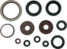 Load image into Gallery viewer, QuadBoss, QuadBoss 09-15 Arctic Cat 1000 TRV Oil Seal Set – Complete Engine and Transmission Seal Kit