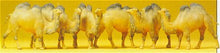 Load image into Gallery viewer, Preiser 20383 HO Scale Animals -- Camels (Bactrian, 2 Humps) pkg(6)