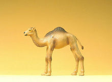 Load image into Gallery viewer, Preiser 47532 1/25 Scale Wild Animal Figures Camel Calf (1 Hump)