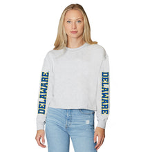 Load image into Gallery viewer, Delaware Varsity Crewneck