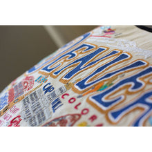 Load image into Gallery viewer, Denver Hand-Embroidered Pillow