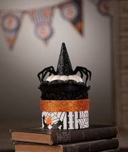 Load image into Gallery viewer, Mrs. Casperita on Box | Halloween Decor | Bethany Lowe