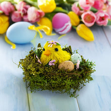 Load image into Gallery viewer, Nestled Chick Amidst Colorful Treasures