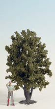 Load image into Gallery viewer, Noch 68015 G Scale Trees -- Deciduous 24cm