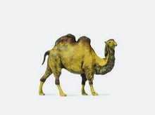 Load image into Gallery viewer, Preiser 29506 HO Scale Animal -- Camel