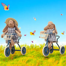 Load image into Gallery viewer, **Pre-order (Ships in 2-3 Weeks)**Miniature Bunnies