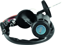 Load image into Gallery viewer, QuadBoss, QuadBoss Ignition Switch for Honda TRX300 FourTrax (1990-1999) – Part #403256
