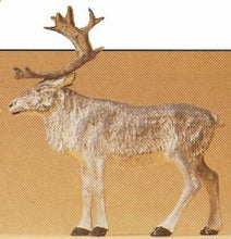 Load image into Gallery viewer, Preiser 47538 1/25 Scale Wild Animal Figures Individual -- Standing Reindeer