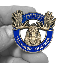 Load image into Gallery viewer, CL5-015 Lake Placid FL and Sebring Florida Stronger Together Moose Rack Pin Lodge Pride not challenge coin