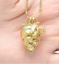 Load image into Gallery viewer, Silver Anatomical Heart Cremation Urn Necklace