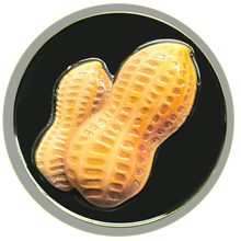 Load image into Gallery viewer, GL2-004 Deez Nuts challenge coin with 3D nuts Correctional Officer CO Corrections Funny Gag Gift Thin Gray Line