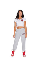 Load image into Gallery viewer, Harvard Embroidered Sweatpants