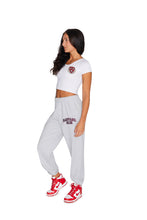 Load image into Gallery viewer, Harvard Embroidered Sweatpants