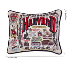Load image into Gallery viewer, Harvard University Collegiate Embroidered Pillow by CatStudio