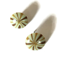 Load image into Gallery viewer, Beige Brown Fireworks Disc Stud Earrings