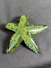 Load image into Gallery viewer, Dappled Sunshine Starfish