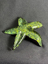 Load image into Gallery viewer, Dappled Sunshine Starfish